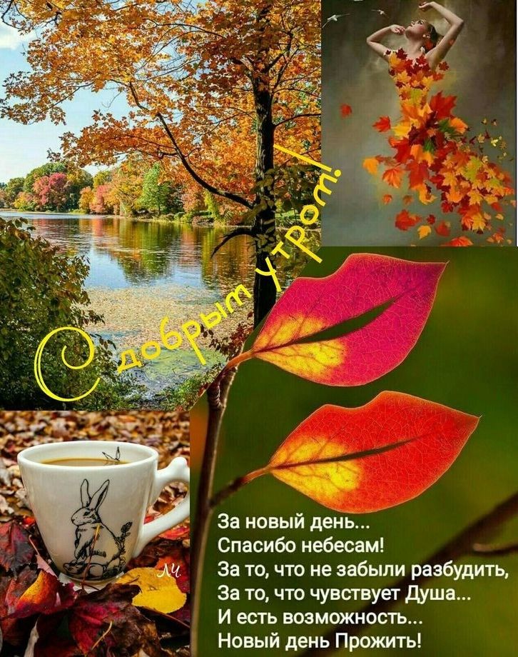 за новый день Спасибо небесам за то что не забыли разбудить За то что чувствует душа И есть возможность Новый день Прожить