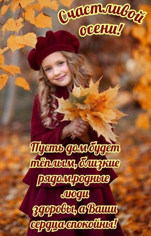 22 сайта 0 сер Петтит