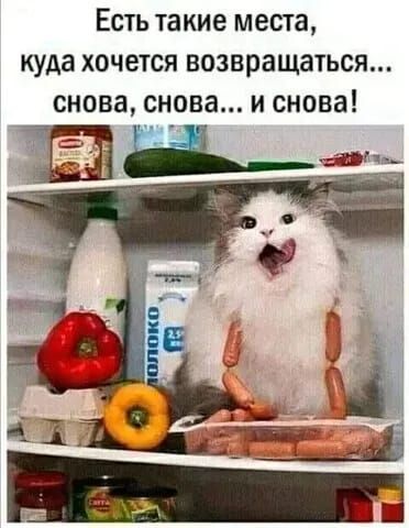Есть такие места куда хочется возвращаться снова снова и снова