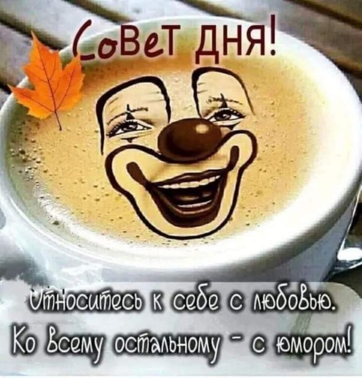 13 себе моббёью юмором