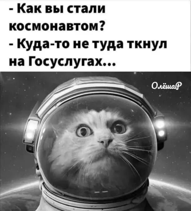 Как вы стали космонавтом Куда то не туда ткнул иа Госуслугах