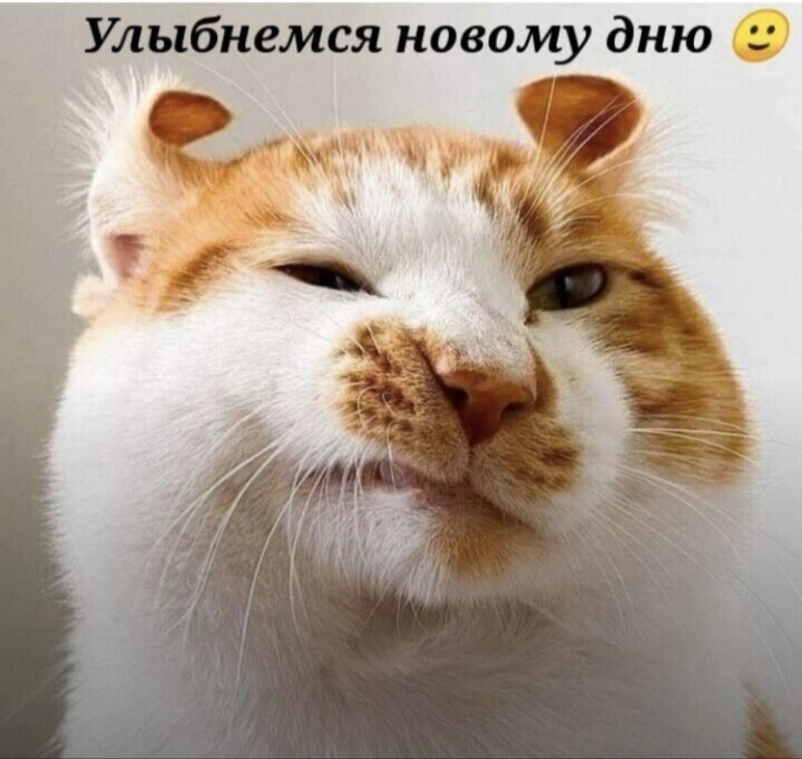 Улыбнемся новому дню