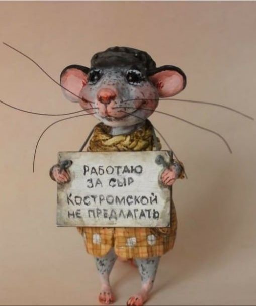 ЗА СЫР 0 шмсюй ні придти