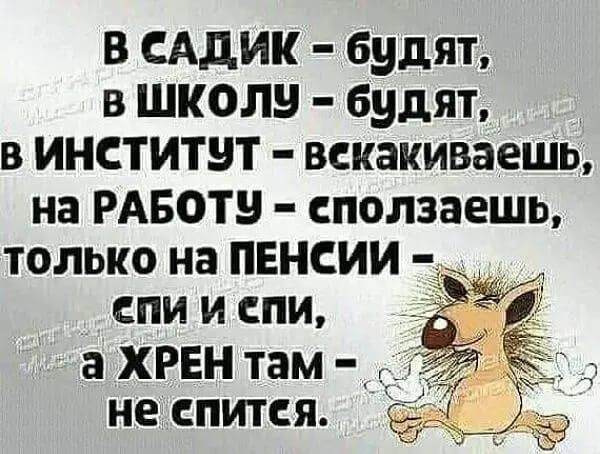 в сддик будят в школу будят в институт вскакиваеть на РАБОТ сползаешь только на ПЕНСИИ спи и спи а хрен там не СПИТСЯ