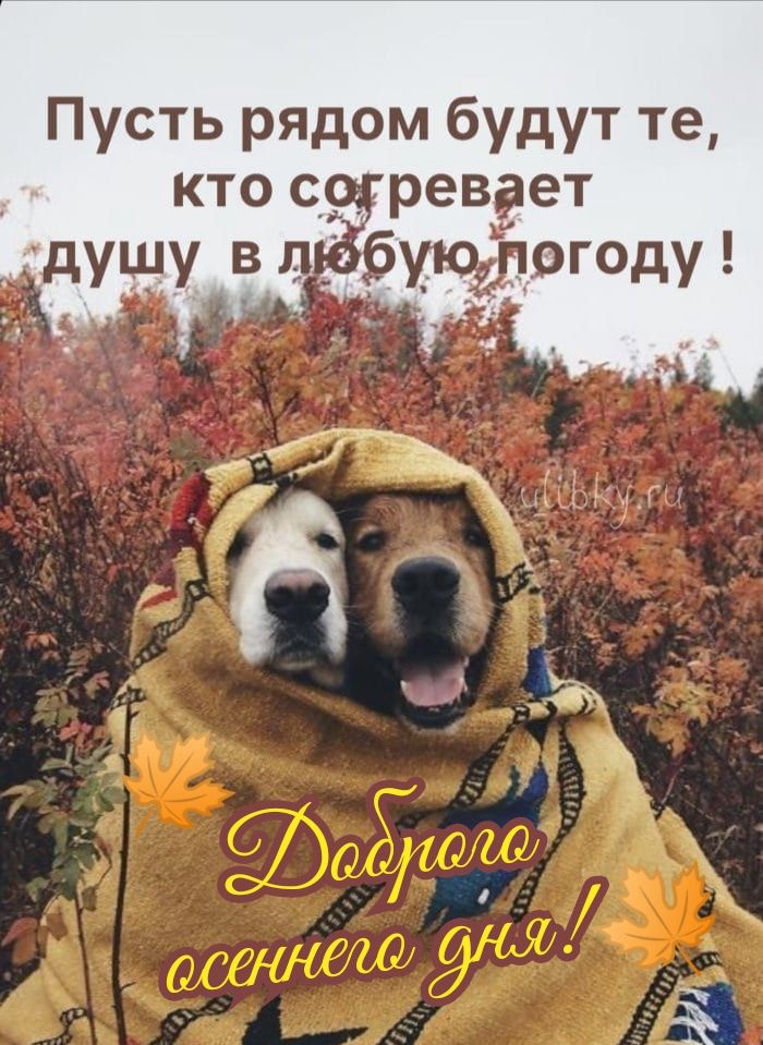 Пусть рядом будут те кто сщревает _ буфргоду