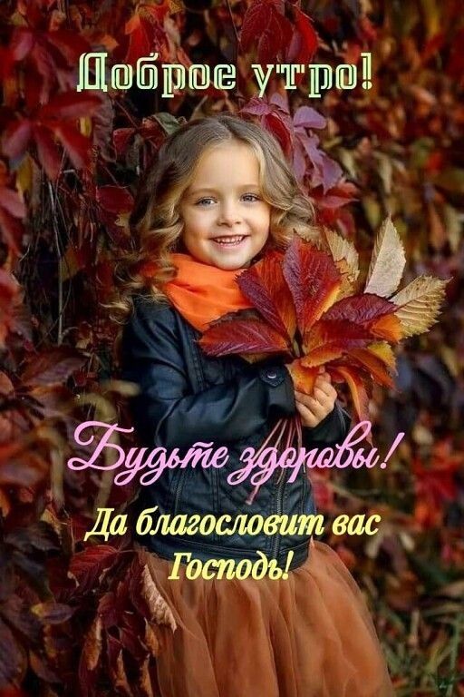 к Побрре утра
