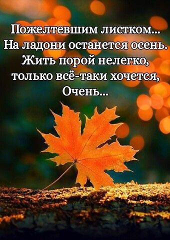 Пожелчпевшим листком На ладони останетея ень Жить порой нелегке только всё таки хочется Очень