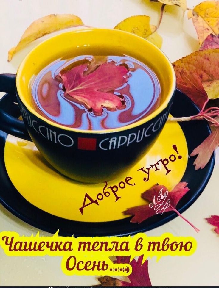 Чашечка тепла Б тёща Осень 5