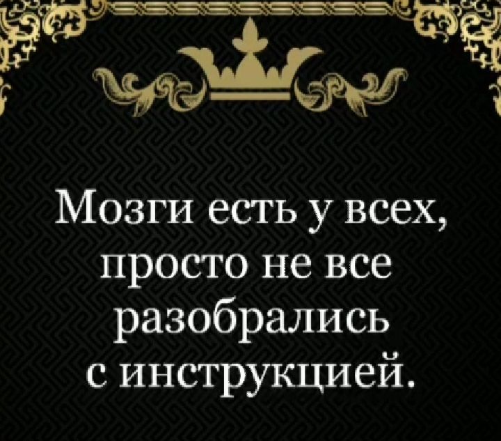 г федм ч Мозги есть у всех просто не все разобрались с инструкцией