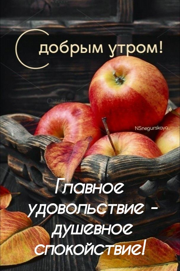 добрым утіом Уд Вэльдтвие