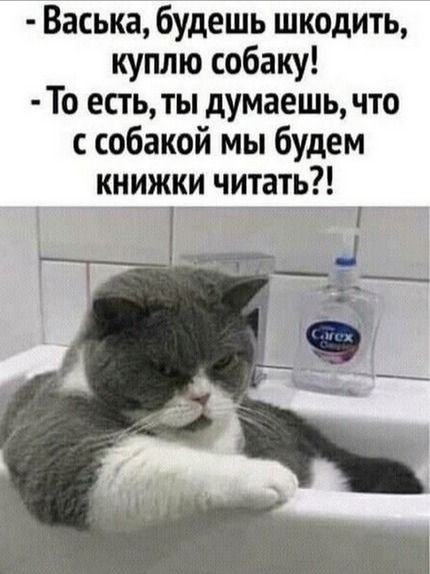 Васька будешь шкодить куплю собаку То есть ты думаешь что с собакой мы будем книжки читать
