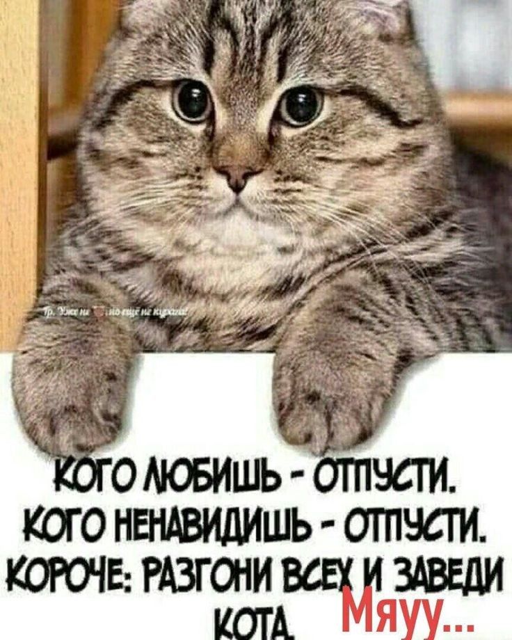 ШОНЕНАВИДИШЬ ОТПЧС КОРОЧЕ РАЗГОНИ ВСЧ г ИСТА ЯУ