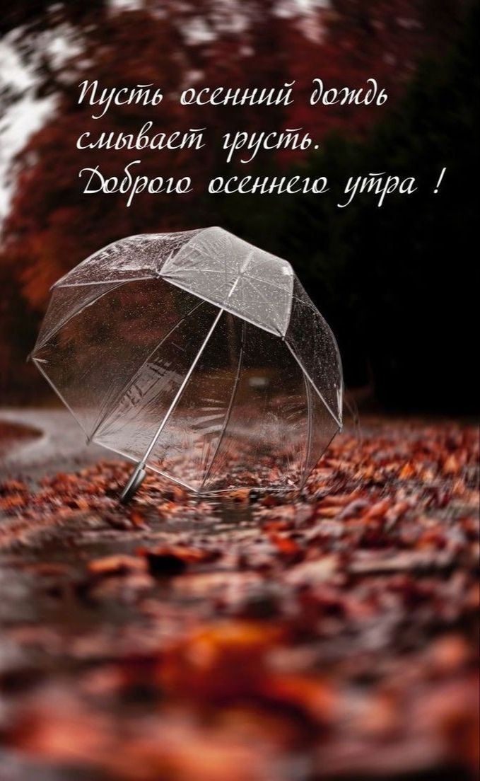 _ _ ышЁает груши щит асешею уйди