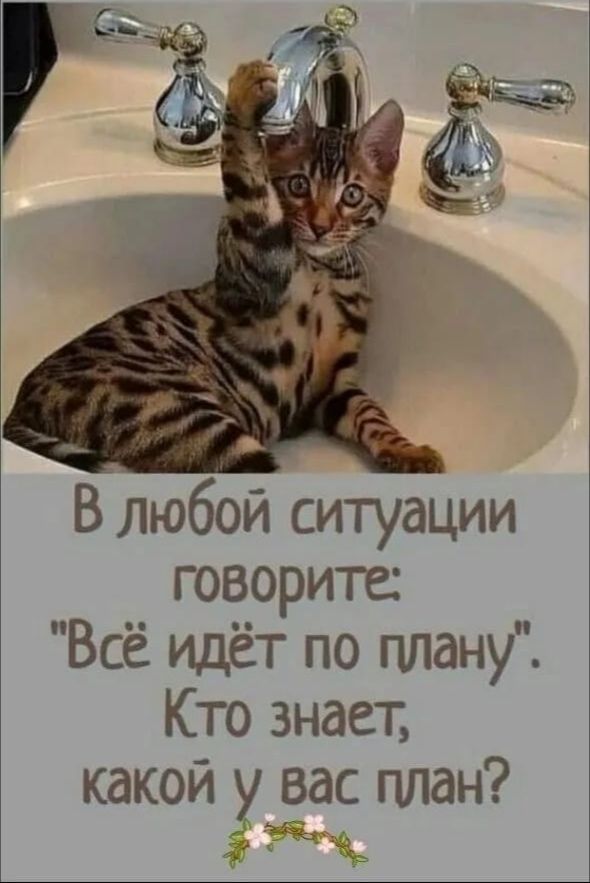 В любой ситуации говорите Всё идёт по плану Кто знает какой уоас план