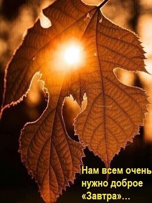 Ё _ ТГ Нам всем очень Н нужно доброе Завтра