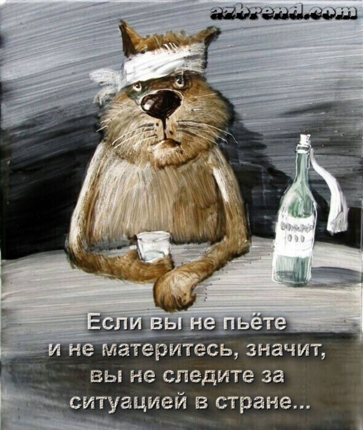 е Материтесь значит вы не следите за ситуацией в стране