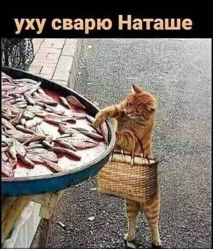 е ш 3 Т а Н Ю р а В с
