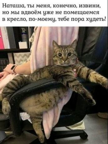 Наташа ты мшщ конечно нцпннн но мы вдвоем же не ппмещпемся и кресло помоему тебе пори худеть