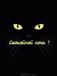 00 начи
