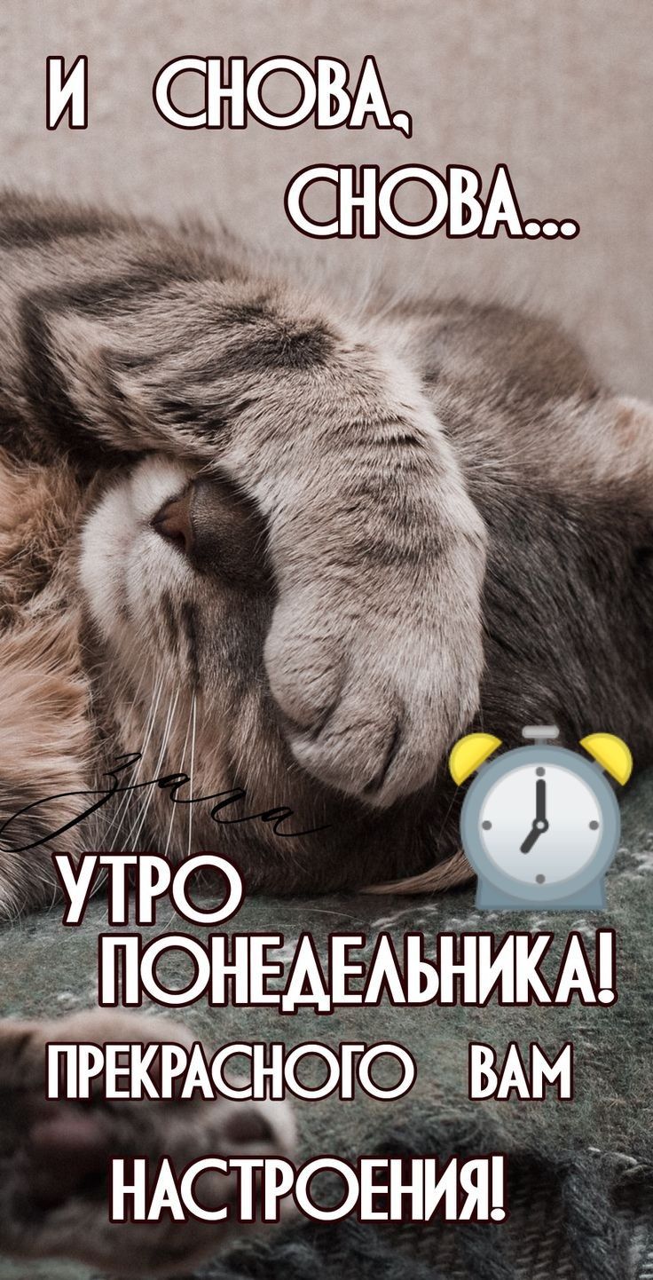 Р утро __ _ оёвшежьникі ПРЕКРЩ М НАСТРОЕНИЯ