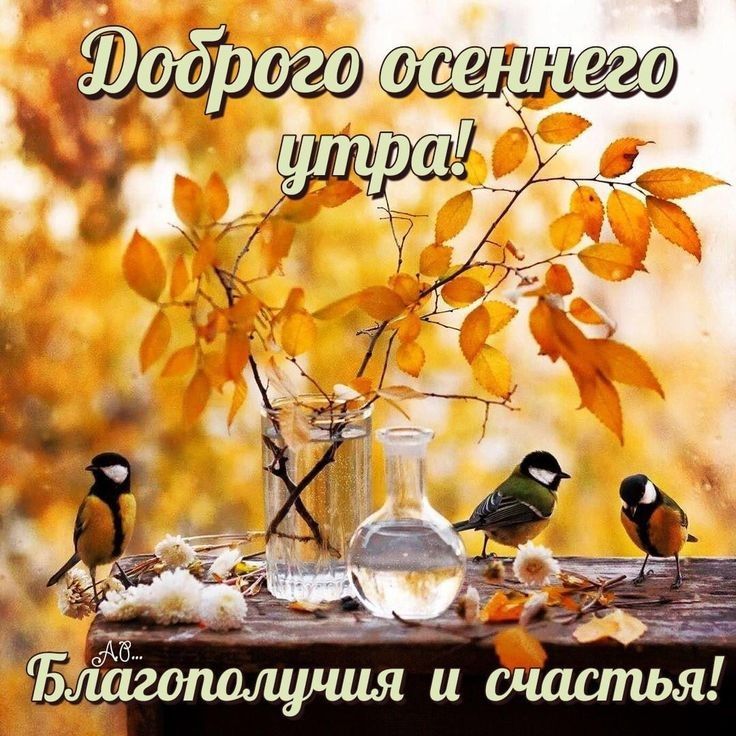 йёоіикдс он ттщгёэ итти д в