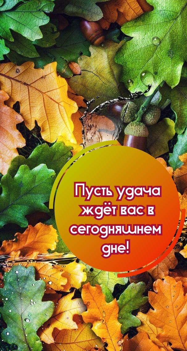 Пусть у9ачо ж9ет вас в сегоуняшнем