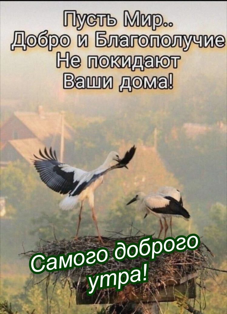 Добро и Ваши