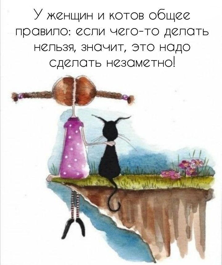 У женщин и котов общее провипо СПИ ЧЗГО ТО ДСПОТЬ непьзя значит это нодо сдепоть незаметно