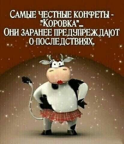 САМЫЕ чвсгннв конфвтн ошзжАЁЁЁЁЁАнЁ грвжшт _ о попвдствия