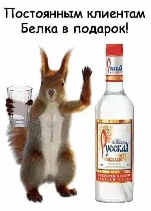 Постоянным клиентам Белка в подарок