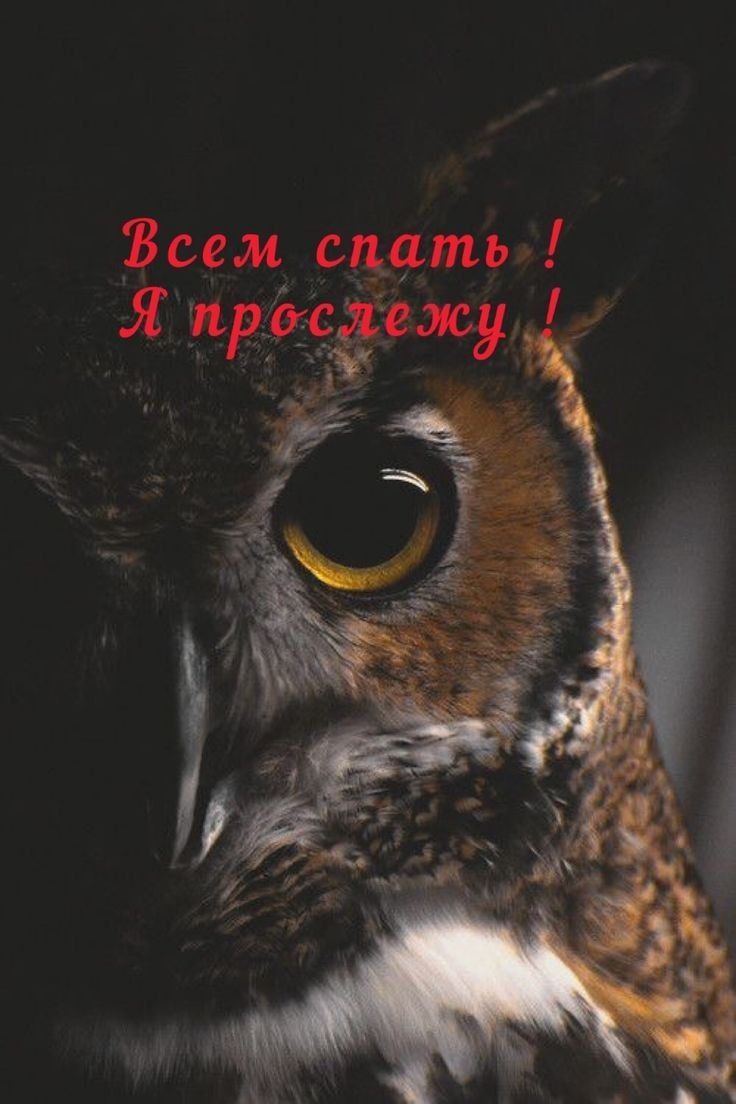 Заем сшить Я РЁЁЁЧ