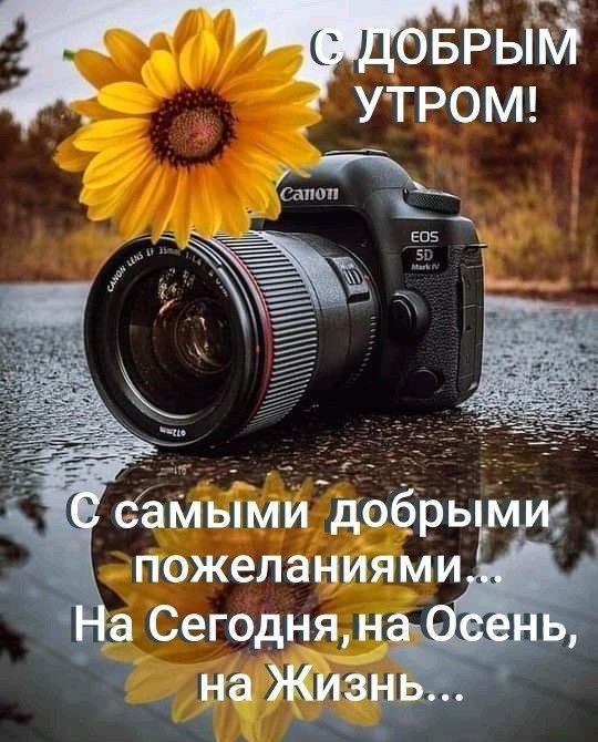 БРЪЙ _ УТРОМ вд _ Сегодня н на Жив Ь