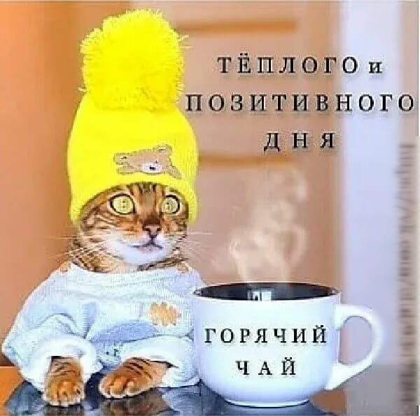 тйплэг0и позитивного да Г 1 П Н и о О Е э Ё В Ш