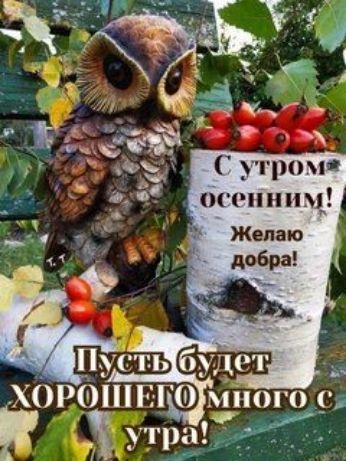 утро осенним Желаю