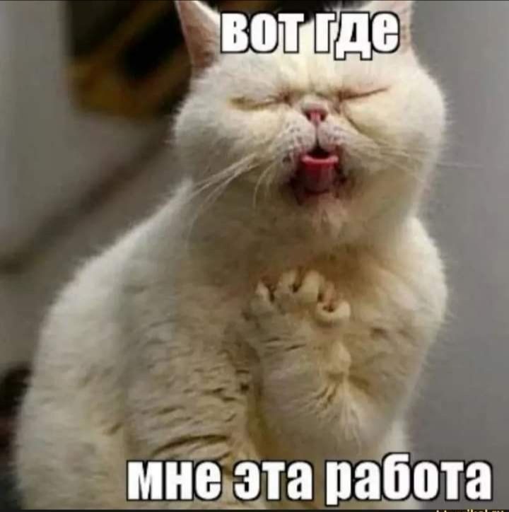 Ё а МНЕЁПВ работа