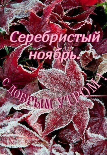 ЁЁд Сы ебристыи