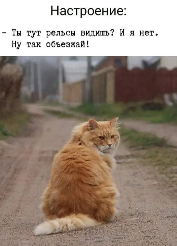 Настроение Тн тут рельсы видишь И я нет Ну так объезжай
