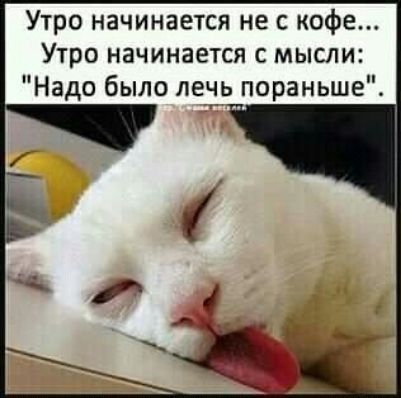 Утро начинается не с кофе Утро начинается с мысли Надо было лень пораньше