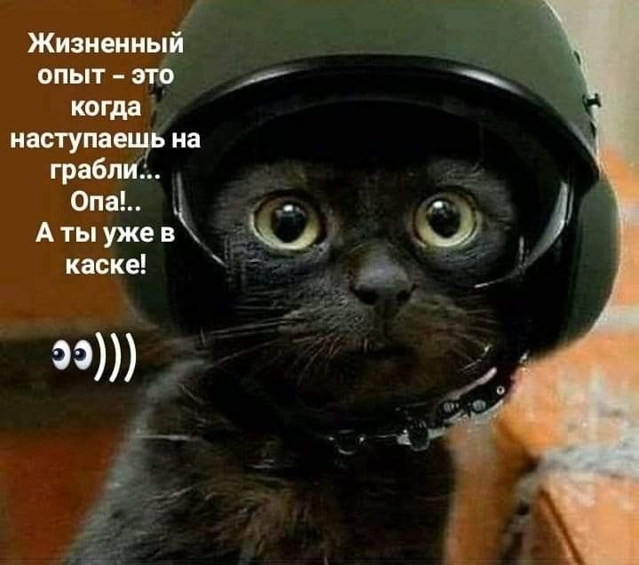 Жизненный опыт вп когда наступ на табл Атыуженк 169 иске
