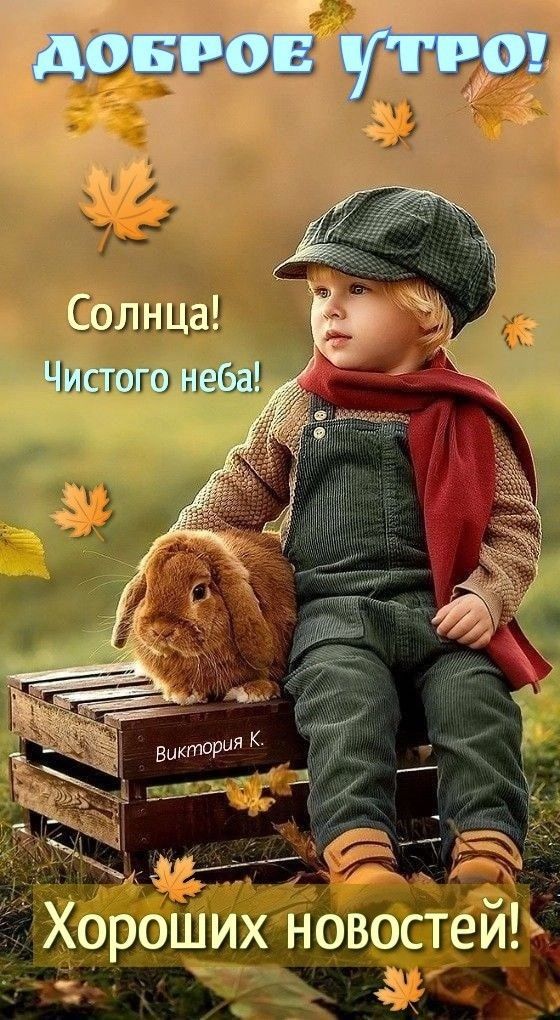 Від РЫЫ НН 7 СОЛЩШ Чик гого нгт