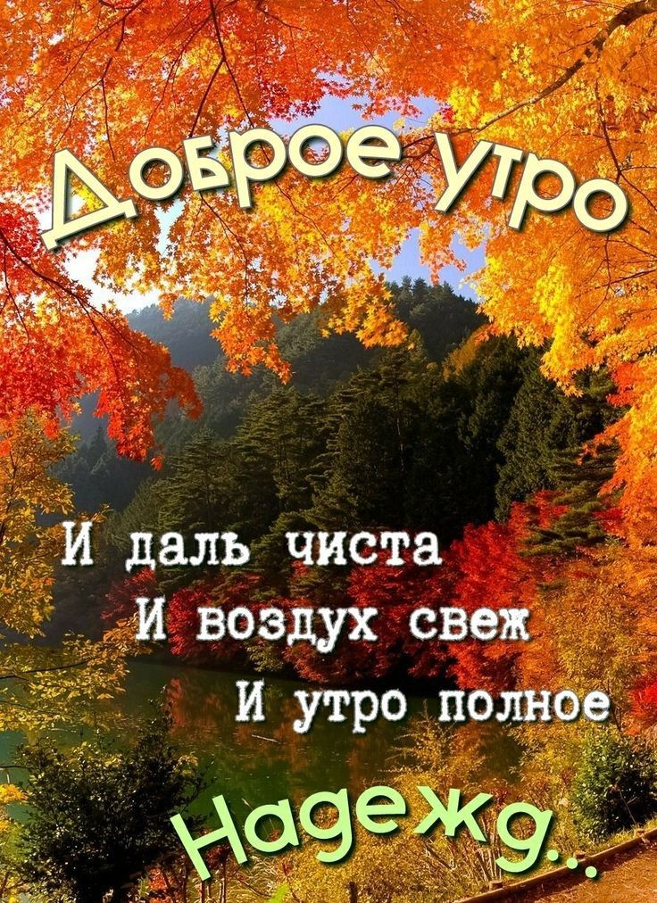 И даль чиста и воздух овец и утро полное жсчежэ