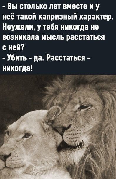 Вы столько лет вместе и у неё такой капризный характер Неужели у тебя никогда не возникала нысль расстаться с ней Убить да Расстаться никогда