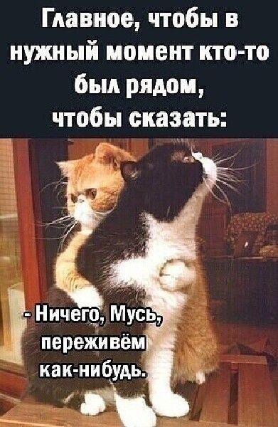 Главное чтобы в нужный момент кто то был рядом чтобы сказать