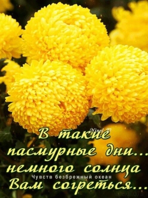 КМК010 солнца чум виви щи око и Вал саърейдсл