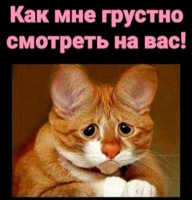 Как мне грустно смотреть на вас ж Ъ