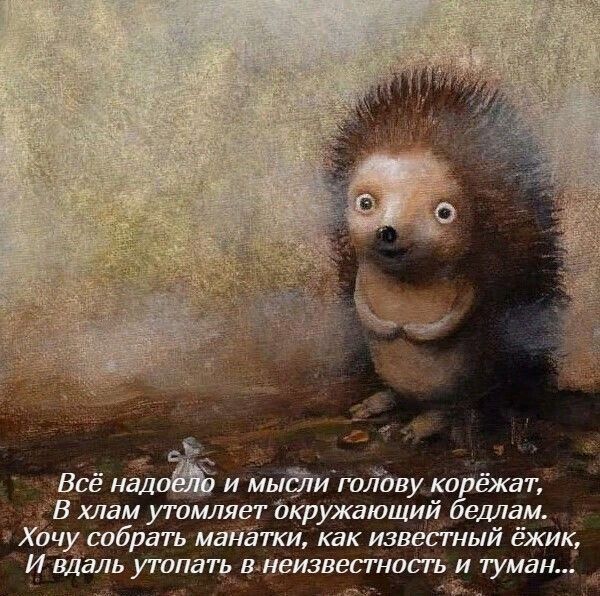с чВсё над и мне тТпву ко ёжат В хлам утомляет дкружающий едлём ачу собрать мана ти как известный ёжик ИвЁаль утапатд неизвестная п и туман