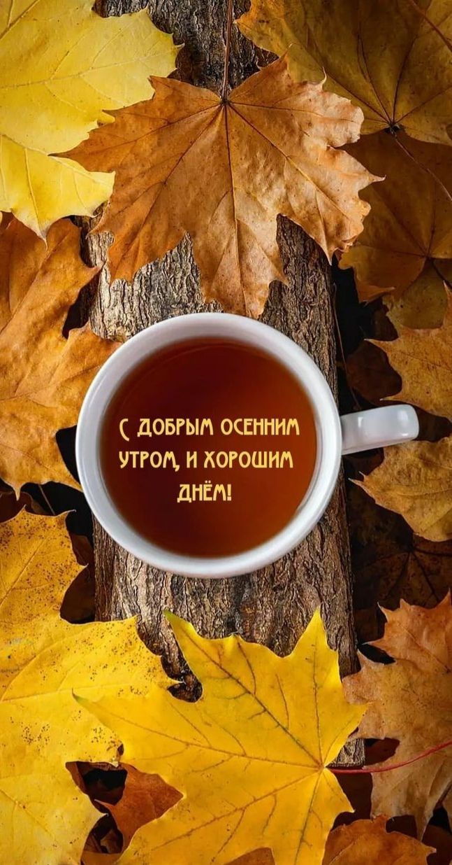 дОБРЫП ОСЕНННП УТГОД И ХОРОШИЛ