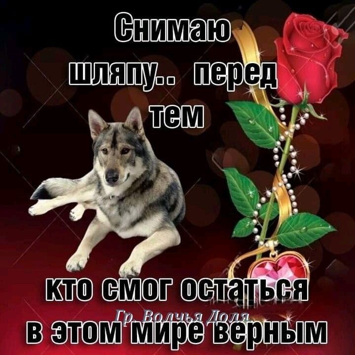 ВКТ этом Мтире Ёерныпш