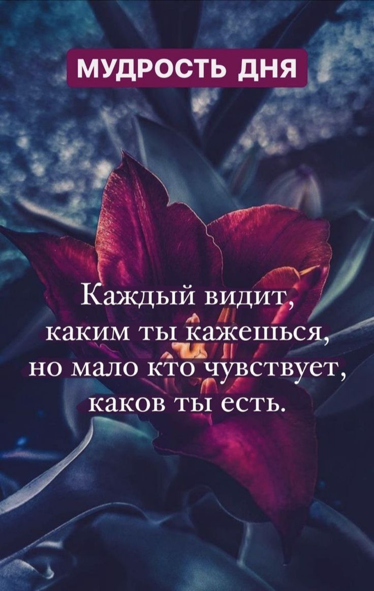 А У каков ТЫ есть