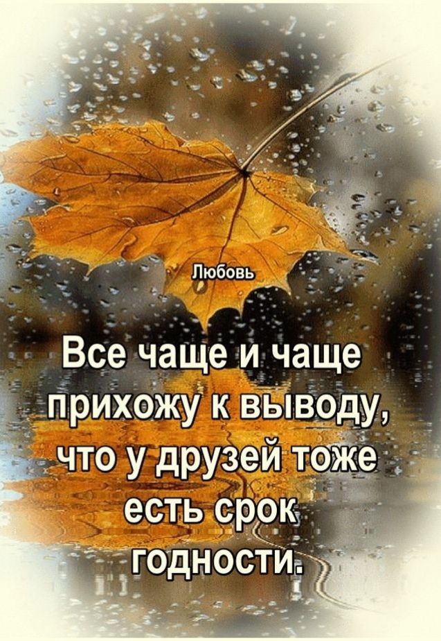 прихожу к В что у друзей